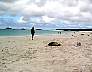 Gardner bay8.jpg